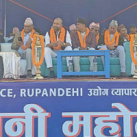 Decline in honey production frustrates farmers