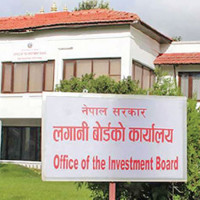 Cardamom price goes up, farmers say it will help cover past losses