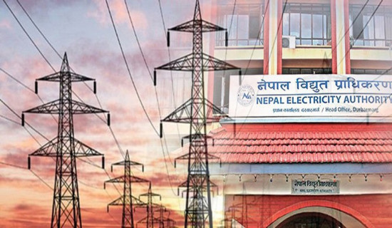 NEA to invest Rs 3 billion for cross border transmission lines