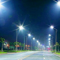 Efforts need to be made to reduce elephant menace: Speaker Ghimire