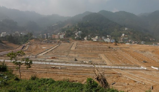 Gradual decline in real estate transaction resulting in decreased revenue