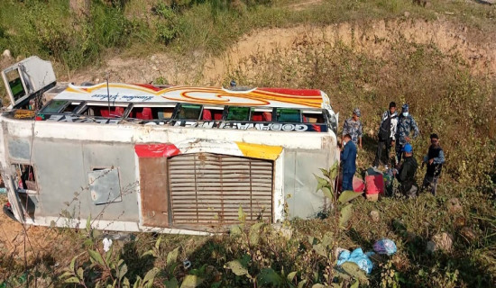 Nawalpur road mishap: More than 20 injured