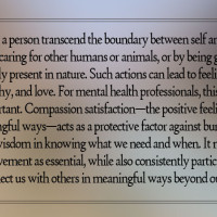 ‘Tracing the Himalaya’ on display