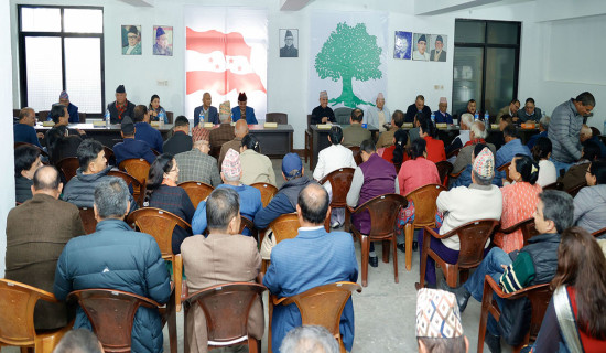 Election is appropriate political way out of present situation: Nepali Congress