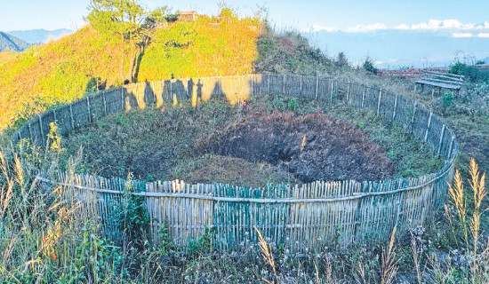 Acid use behind death of fishes