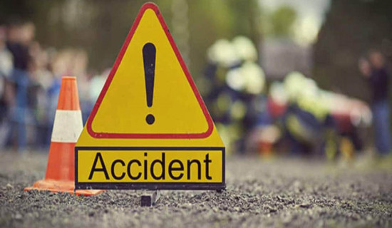 Driver killed in road accident