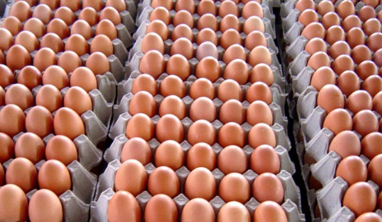 Nepal exports power worth Rs. 10.38 bn with permit for additional 23.5 MW