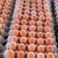 Gold and silver price remains stable