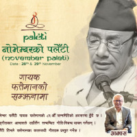 Storms topple trees, knock out power