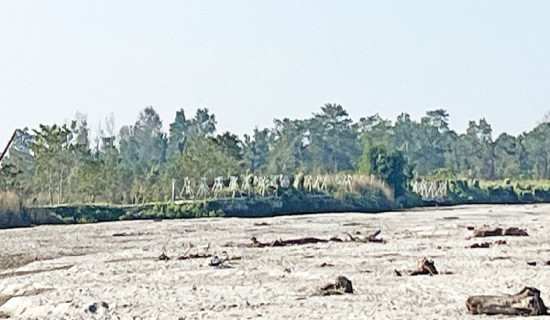 Barren hillside transformed into  apple orchard