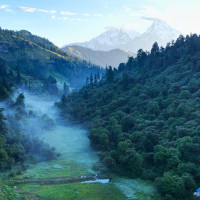 Political Will Key To Attaint Lofty Goals