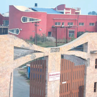 Minister Dr Rana holds telephonic conversation with Egyptian counterpart for Bipin Joshi's release