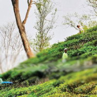 Underperformance prevails at federal, provincial levels