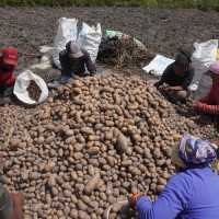 Prachanda promises finalisation of Maoist unity soon