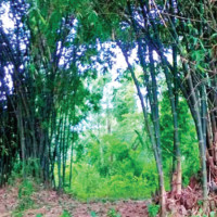 Number of evacuees rises to over 18,000 in Malaysia floods