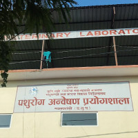 Viral fever and dengue cases up in Sarlahi