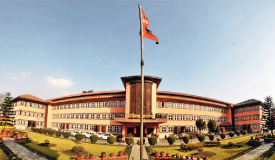 Govt first time issues guidelines on construction of bamboo structures