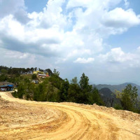 COP30: Mixed Results