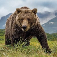 Call For Reforming Political Parties