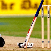 Int'l Red Cross bags Sydney Peace Prize