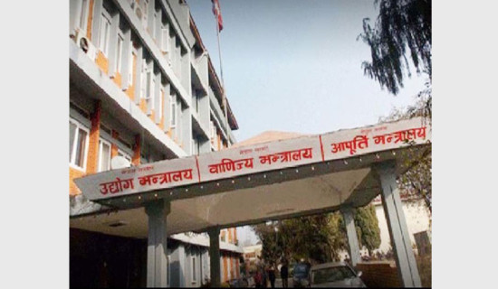 Industry Ministry unveils 39-point action plan for effective public service delivery