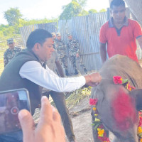 Udayapur Cement Industry resumes production after eight months