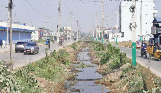 55 years of change: Canal to road