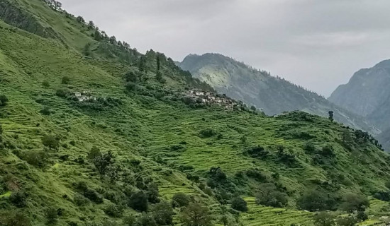 Core Values Of Democratic Civil Service