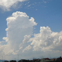 Former Maoist combatants live comfortable life