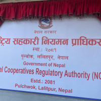 Govt working to create employment by promoting investment environment: PM Oli