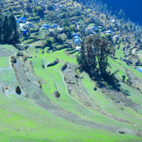 NPL: Sudur Paschim wins toss, opts for bowling