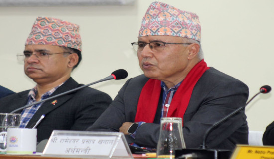 Finance Minister sees need for simplification in tax system, policy coordination