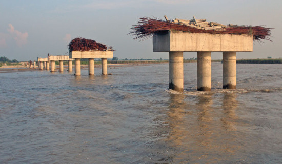 Kankai Bridge contract scrapped