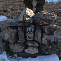 Glimpses of Ghode Jatra celebration