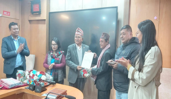 NPL Cricket 2025: Kathmandu posts target of 143 runs for Chitwan