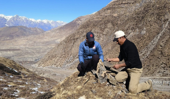 15 cameras installed to monitor snow-leopard movements