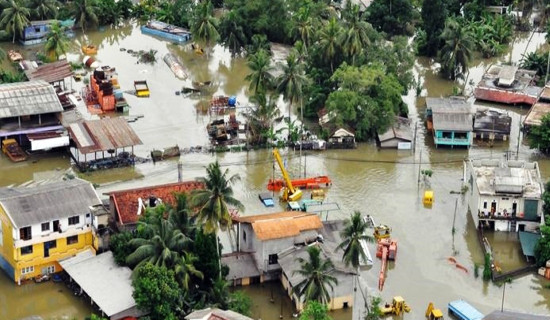 Women’s cooperative cultivates barren land