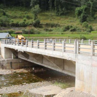 Lightning kills 13 goats in Mugu