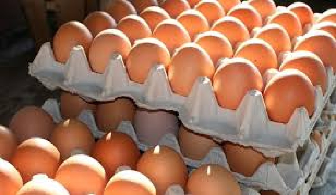 Egg prices readjusted, decision elates domestic producers