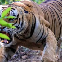 Govt assures private sector of investment security