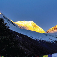 CPN (Maoist Centre) designates province in-charges