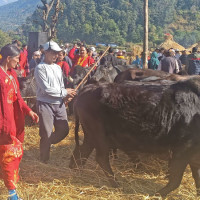 2,438 households at risk of landslide, flood in Baglung