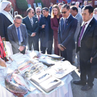 Containing Global Antimicrobial Resistance