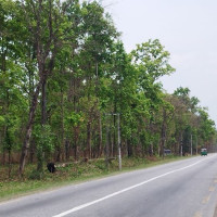 Socialist Front calls for implementing agreement between govt and NCP