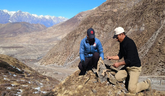 Snow leopard survey begins in Mustang