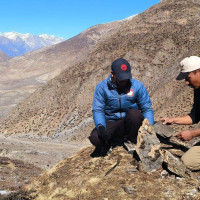 President Paudel calls for ensuring citizens' equal access to healthcare facilities