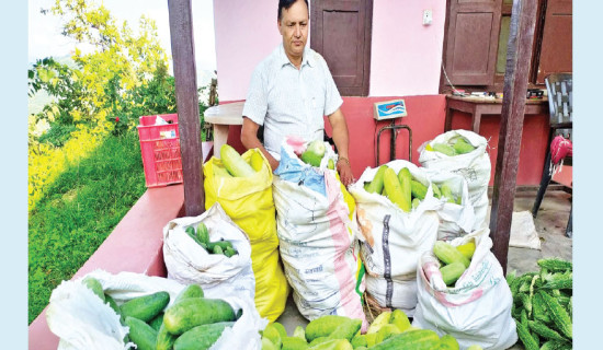 Pushkarnath Banjande’s agricultural success story