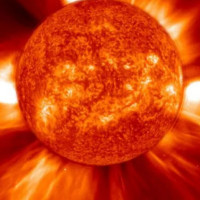 Driver injured in road mishap