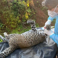 Two arrested for involving in crypto currency