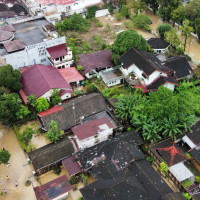 One dead and one semi-conscious leopard recovered in Gorkha